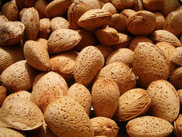 Mandle v škrupine